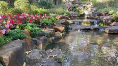 Tropical landscaping in resort garden, stock footage