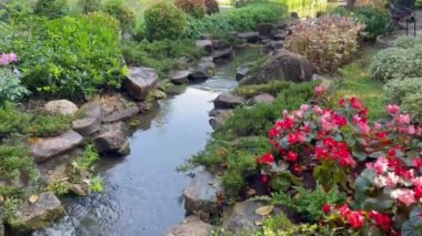 Tropical landscaping in resort garden, stock footage