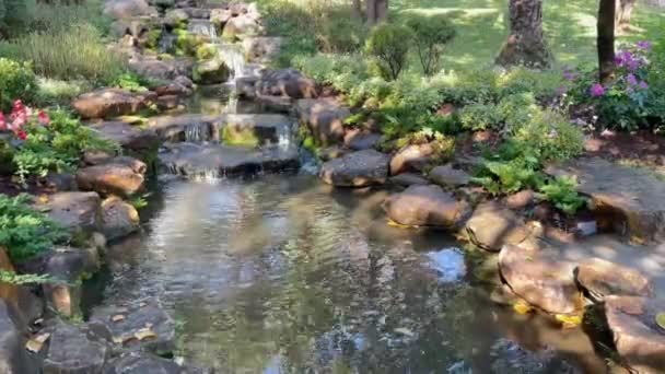Tropical Landscaping Resort Garden Stock Footage — Vídeo de Stock