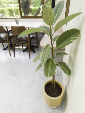 Renovation house Chinese architecture style, stock photo