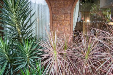 Rahat mobilyaları ve stok fotoğrafı olan bir kafeterya.