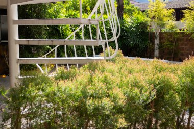 Rahat mobilyaları ve stok fotoğrafı olan bir kafeterya.