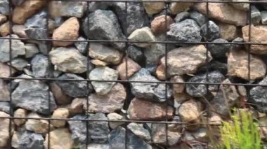 Açık hava botanik bahçesi, stok görüntüleri.