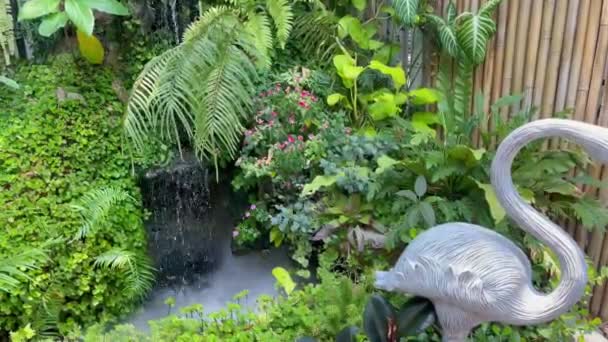 Зовнішній Дизайн Садівництва Інтер Прикрашені Кав Ярні Стокові Відео — стокове відео