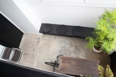 Botanik bitki taşlı tropik bahçe, stok fotoğrafı.