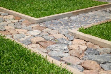 Botanik bitki taşlı tropik bahçe, stok fotoğrafı.