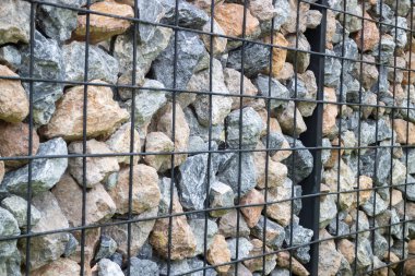 Botanik bitki taşlı tropik bahçe, stok fotoğrafı.