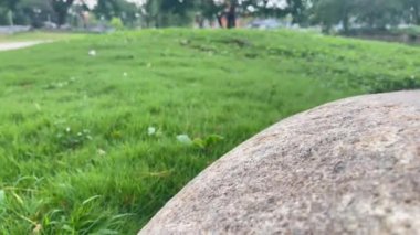 Ana caddenin yanındaki halka açık yeşil park, stok görüntüleri.