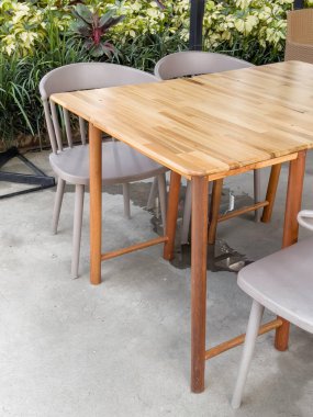 İnanılmaz bitkiler ve çiçeklerle dolu tropikal bir bahçe.