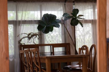 Kafe iç mimarisi ve tasarımı, stok fotoğrafı