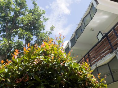 Green Tree Park Apartmanı Apartmanı, Stok fotoğrafı