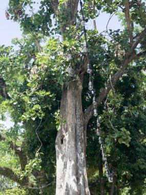 Green Tree Park Apartmanı Apartmanı, Stok fotoğrafı