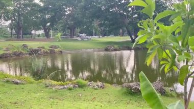 Ana caddenin yanındaki halka açık yeşil park, stok görüntüleri.