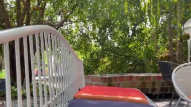 İnanılmaz bitkiler ve çiçeklerle dolu tropikal bir bahçe.