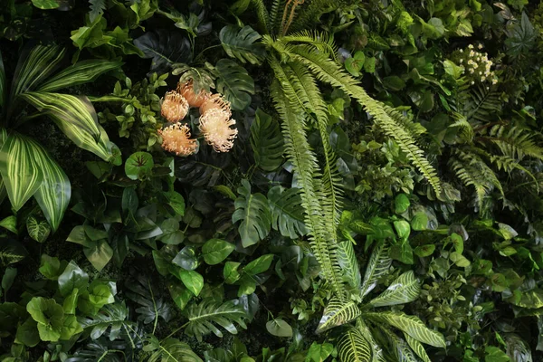 Eski moda bir espresso barı, stok fotoğrafı.