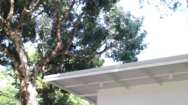 Bahçe tasarımı, temiz hava anı, stok görüntüleri.