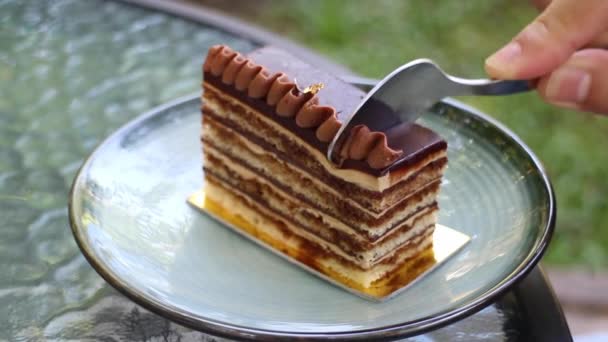 Enjoy Opera Cake Homemade Bakery Stock Footage — Stock Video