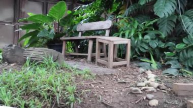 Bahçe tasarımı, temiz hava anı, stok görüntüleri.