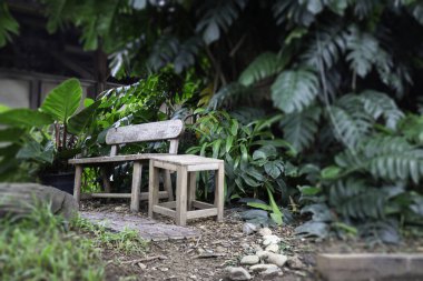 Samimi bir kafe atmosferi, stok fotoğrafı.