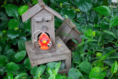 Samimi bir kafe atmosferi, stok fotoğrafı.