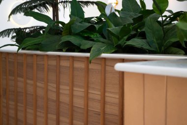 Modaya uygun beyaz ve yeşil oda, stok fotoğrafı.