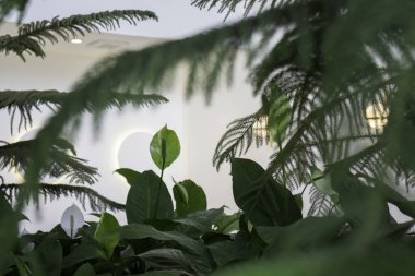 Modaya uygun beyaz ve yeşil oda, stok fotoğrafı.