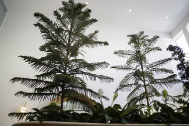 Modaya uygun beyaz ve yeşil oda, stok fotoğrafı.