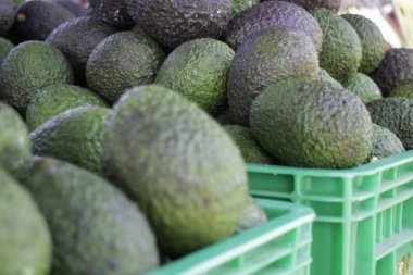 Yerel ürünlerin açık hava çiftçi pazarında sergilenmesi, stok fotoğrafı