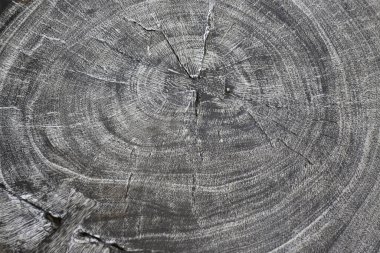 Ev dekorasyonu yazlık evi, stok fotoğrafı.