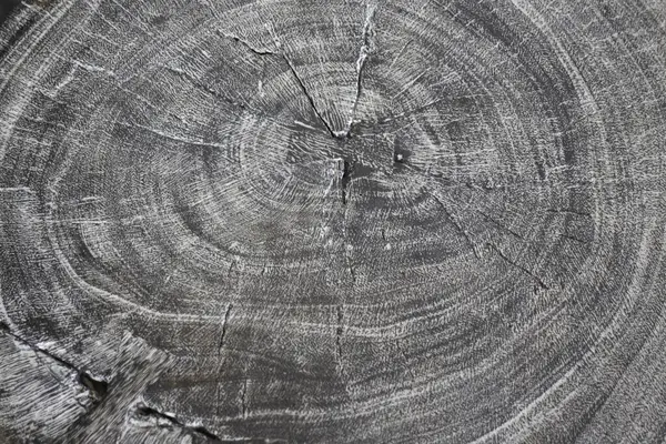 Ev dekorasyonu yazlık evi, stok fotoğrafı.