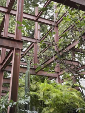 Sadece dekore edilmiş açık hava kafe, stok fotoğrafı.