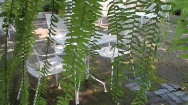 Bitki ağacı çiçeği ve stok görüntüleriyle tatil köyü manzarasını görüntüle