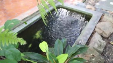 Doğal manzara suyu tatil köyünün bahçesinde akıyor, stok görüntüleri.