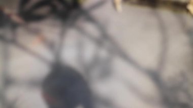 Doğal manzara suyu tatil köyünün bahçesinde akıyor, stok görüntüleri.