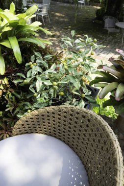 Kahve kafesinde bahçe koltukları, rahatlama konsepti, fotoğraf.