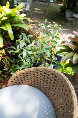 Kahve kafesinde bahçe koltukları, rahatlama konsepti, fotoğraf.