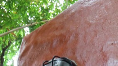 Tayland tropik bahçe manzarası Chiang Mai, Tayland, stok görüntüleri