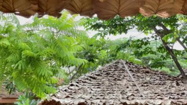 Açık hava parkı yeşil, rahatlama ekolojisi, stok görüntüleri