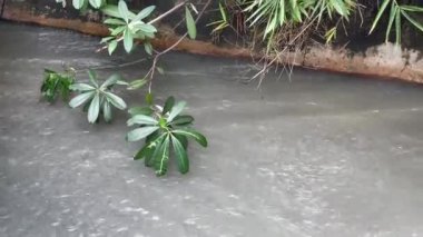 İki beton drenaj kanalından akan fırtına suyu akışı yan yol, stok görüntüleri.