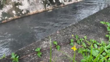 İki beton drenaj kanalından akan fırtına suyu akışı yan yol, stok görüntüleri.
