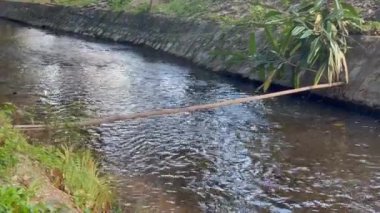 Altında beton banka takviyesi ve su olan kırsal bir yol, stok görüntüleri.