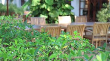 Güzel yaz yeşili brasserie bahçesi, stok görüntüler
