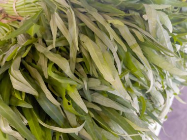 Yerel çiftçi pazarında taze organik sebzeler, stok fotoğrafı.