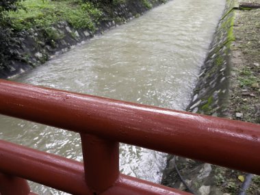 Şehirde güzel bir tropikal park, stok fotoğrafı.