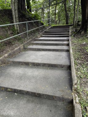 Şehirde güzel bir tropikal park, stok fotoğrafı.