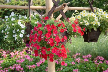 Thai tarım ürünleri fuarda sergilenecek, stok fotoğrafı