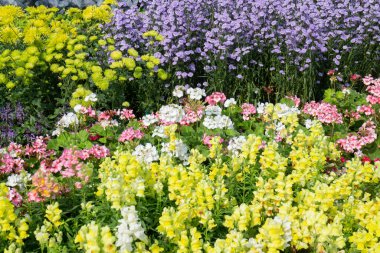 Thai tarım ürünleri fuarda sergilenecek, stok fotoğrafı