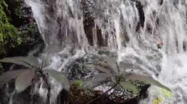 Küçük bir gölet ve şelale ile güzel bir peyzaj.