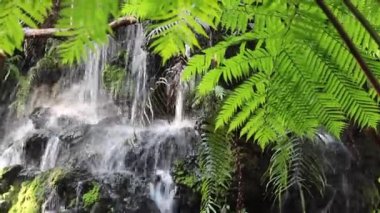 Küçük bir gölet ve şelale ile güzel bir peyzaj.