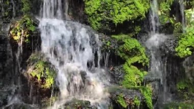Küçük bir gölet ve şelale ile güzel bir peyzaj.